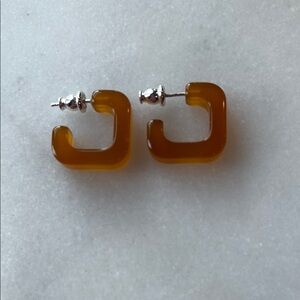 J. Crew Silver and Brown Earrings